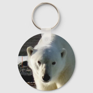 Looking into the eye of a Polar bear Keychain