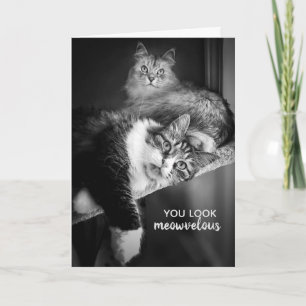 Looking Meowvelous Birthday Card