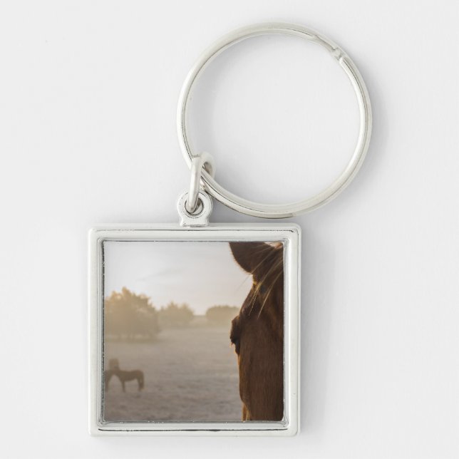 Looking Onward Keychain (Front)