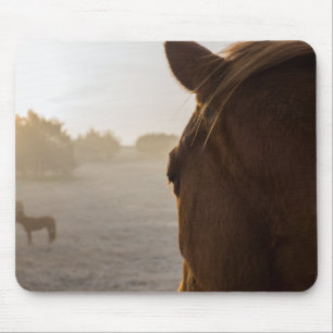 Looking Onward Mouse Pad