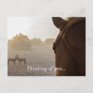 Looking Onward Thinking Of You Postcard