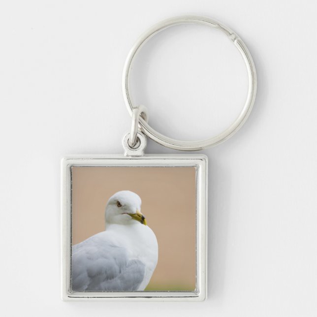 Looking Out Keychain (Front)