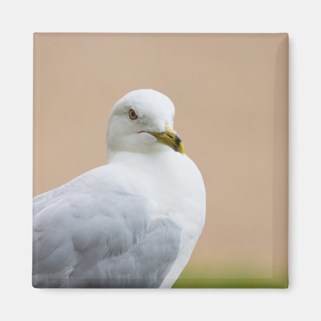 Looking Out Magnet (Front)