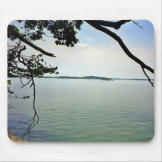 Looking Out Over the River created on a  Mouse Pad
