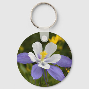 Looking Skyward Keychain