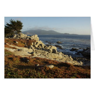 Looking South to Carmel