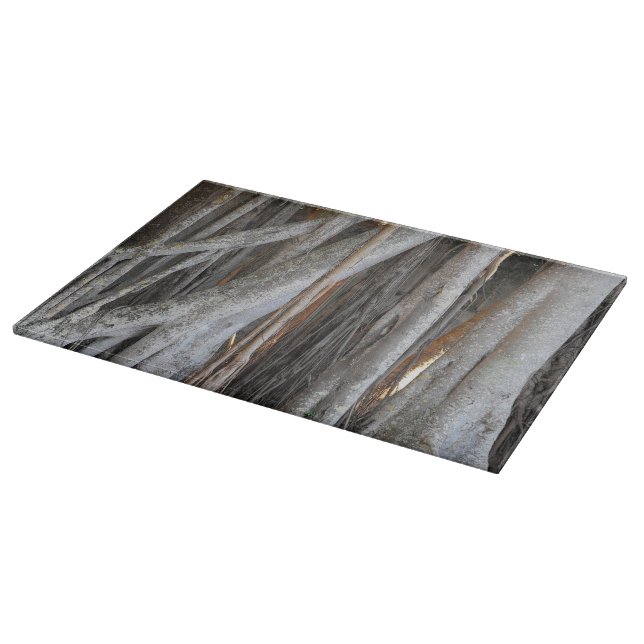 Looking through the Banyan Tree Cutting Board (Corner)
