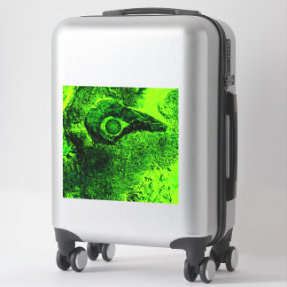 looking to green