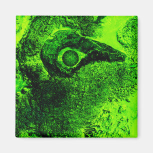 looking to green magnet