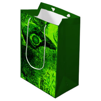 looking to green medium gift bag