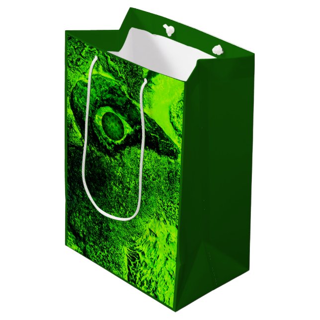 looking to green medium gift bag (Front Angled)