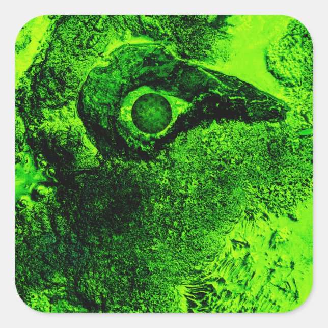 looking to green square sticker (Front)