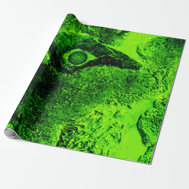 looking to green wrapping paper (Unrolled)