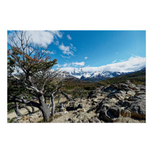 Looking towards Mt Fizroy Poster
