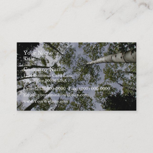 Looking Up at Aspen Trees in forest Business Card (Front)