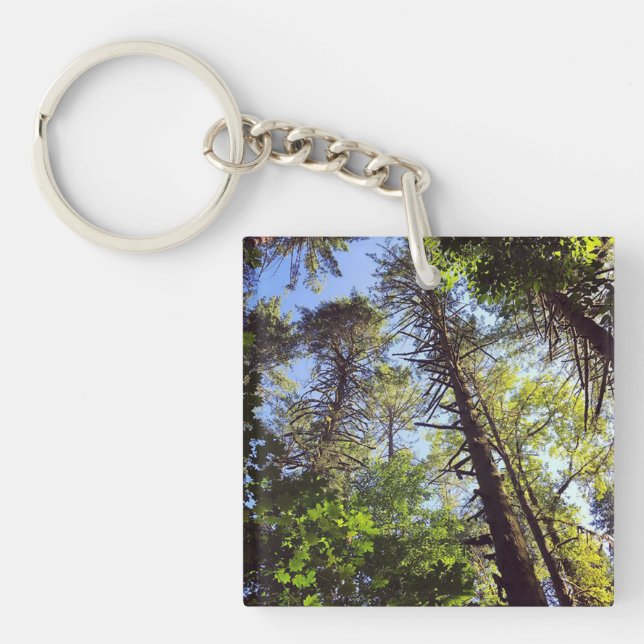 Looking up at the Trees Keychain (Front)