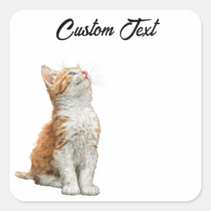 Looking Up Cat   Personalized Custom Text Square Sticker