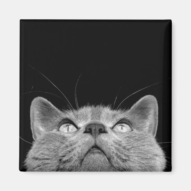 Looking up magnet (Front)