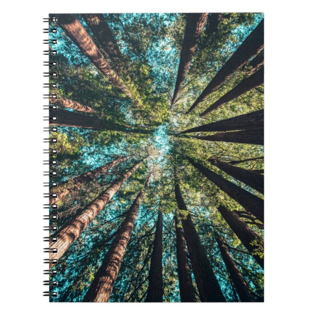 LOOKING UP NOTEBOOK (Front)