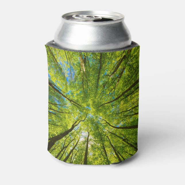 Looking up through green tree leaves can cooler (Can Back)