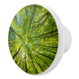 Looking up through green tree leaves ceramic knob
