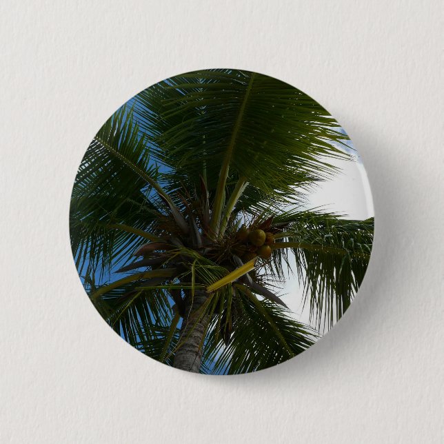 Looking Up to Coconut Palm Tree Tropical Nature 2 Inch Round Button (Front)