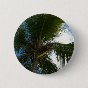 Looking Up to Coconut Palm Tree Tropical Nature 2 Inch Round Button