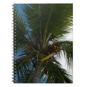 Looking Up to Coconut Palm Tree Tropical Nature Notebook
