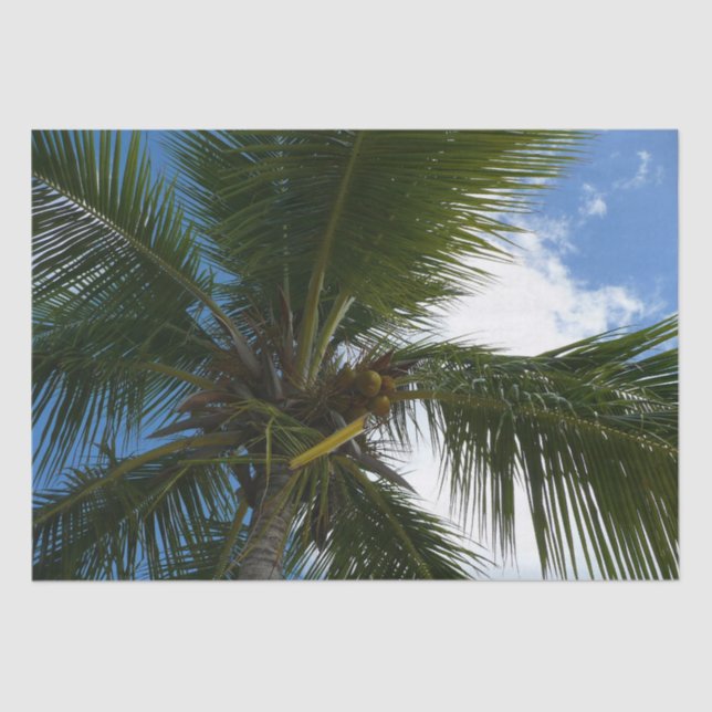 Looking Up to Coconut Palm Tree Tropical Nature Tissue Paper (Front)