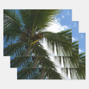 Looking Up to Coconut Palm Tree Tropical Nature Wrapping Paper Sheet