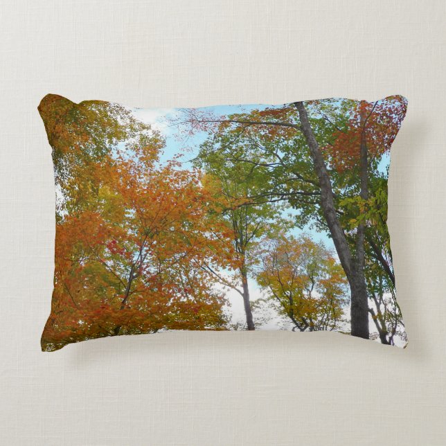 Looking Up to Fall Leaves I Colourful Fall Foliage Accent Pillow (Front)