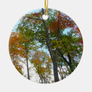 Looking Up to Fall Leaves I Colourful Fall Foliage Ceramic Ornament