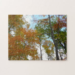 Looking Up to Fall Leaves I Colourful Fall Foliage Jigsaw Puzzle