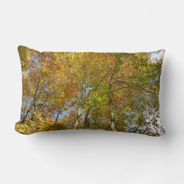 Looking Up to Fall Leaves III Colourful Foliage Lumbar Pillow (Front)
