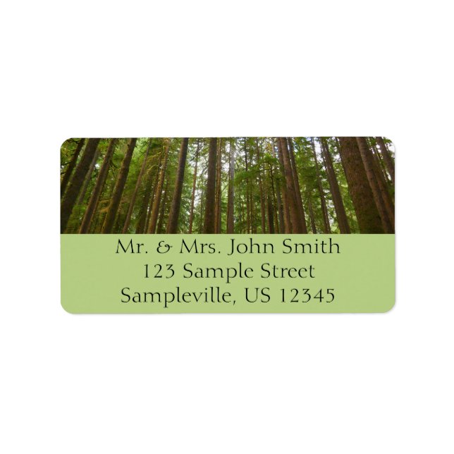 Looking Up to Old Growth Forest Label (Front)