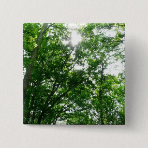 Looking Up to Summer Trees 2 Inch Square Button