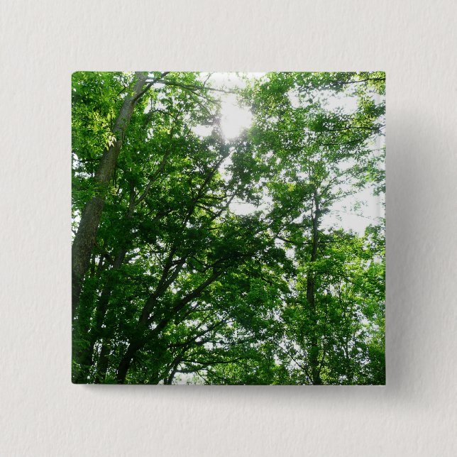 Looking Up to Summer Trees 2 Inch Square Button (Front)