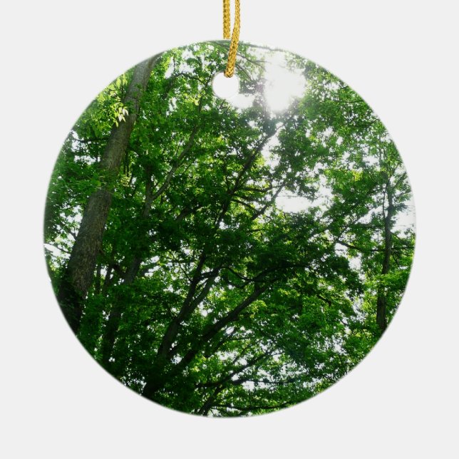 Looking Up to Summer Trees Ceramic Ornament (Front)