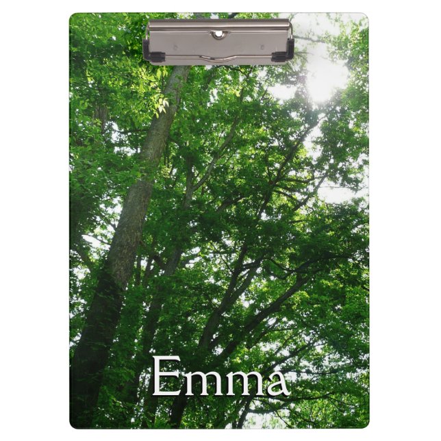 Looking Up to Summer Trees Clipboard (Front)