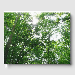 Looking Up to Summer Trees Guest Book