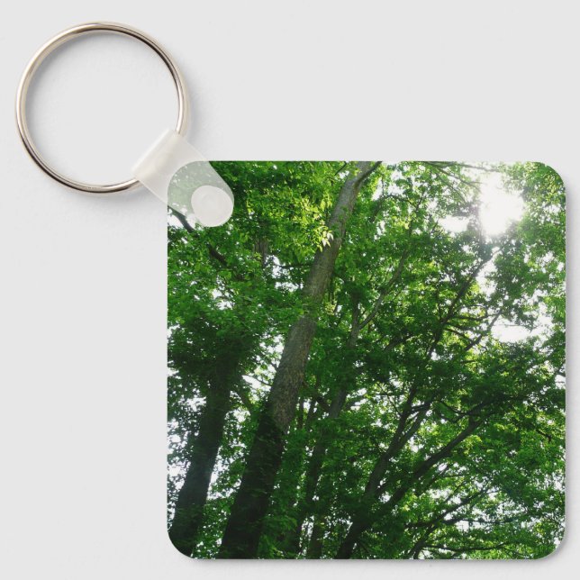 Looking Up to Summer Trees Keychain (Front)