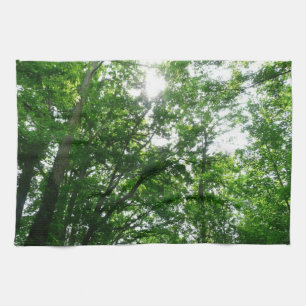 Looking Up to Summer Trees Kitchen Towel
