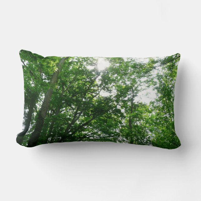 Looking Up to Summer Trees Lumbar Pillow (Front)
