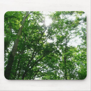 Looking Up to Summer Trees Mouse Pad