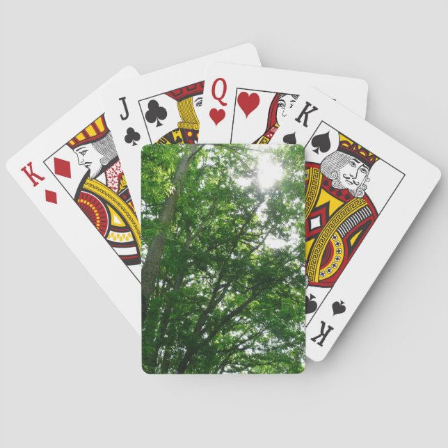 Looking Up to Summer Trees Playing Cards (Back)