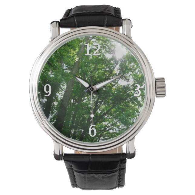 Looking Up to Summer Trees Watch (Front)