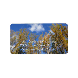 Looking Up to Yellow Poplar Trees I Label