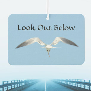 Lookout Below Royal Tern in Flight Air Freshener