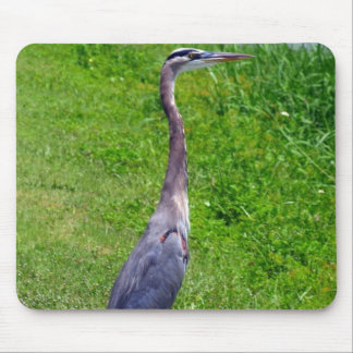 Lookout Bird Mouse Pad