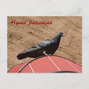 Lookout pigeon Happy Easter postcard